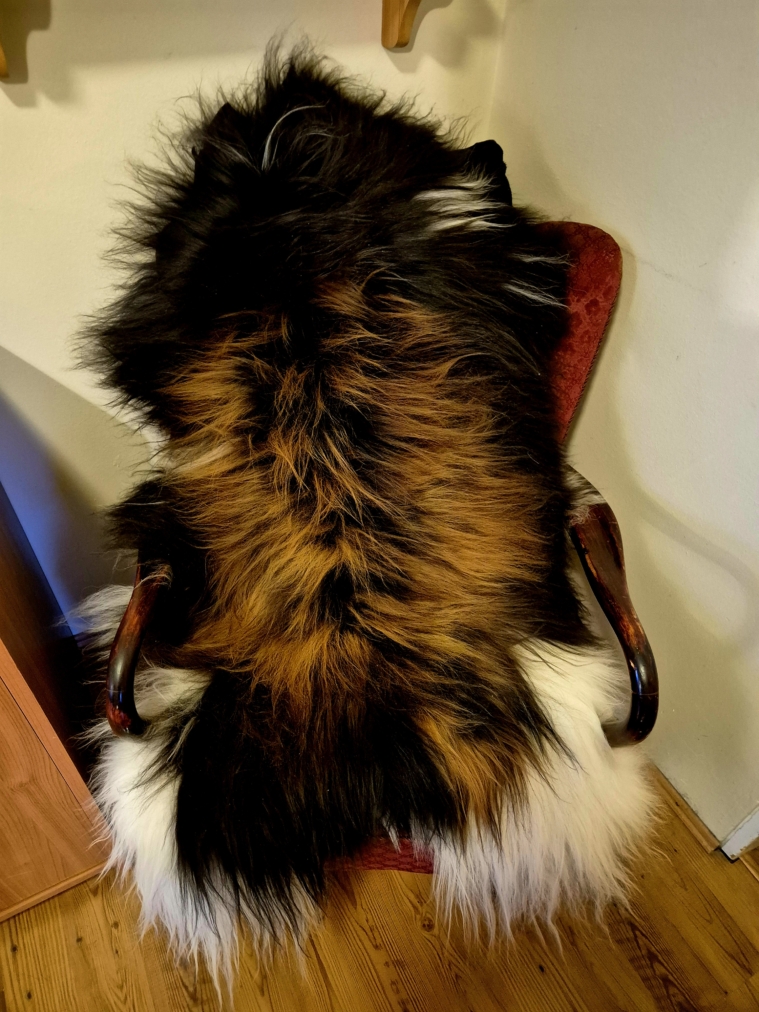 Colored Longwool Icelandic lambskins