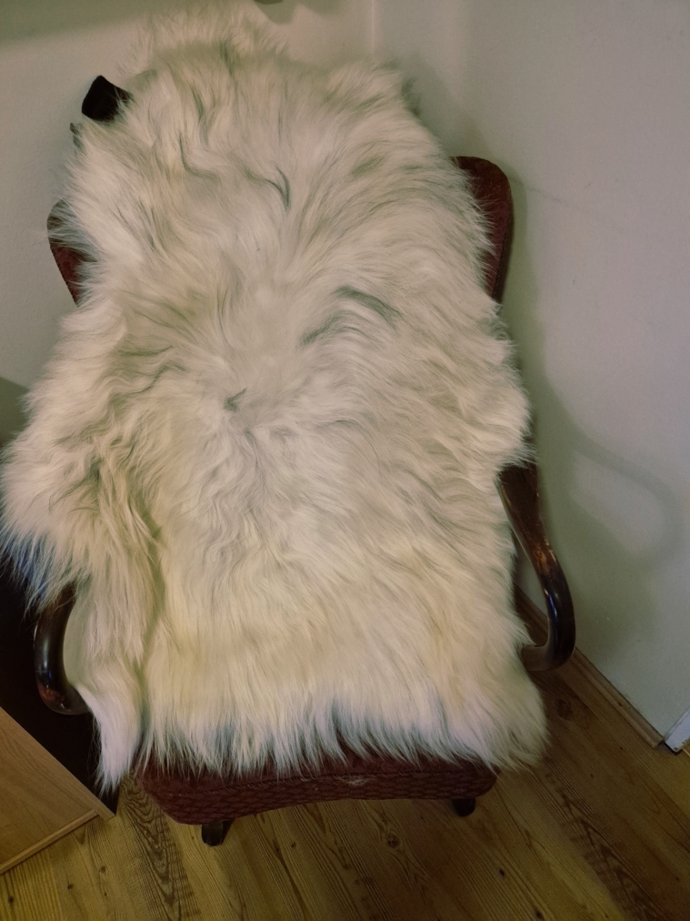 Colored Longwool Icelandic lambskins