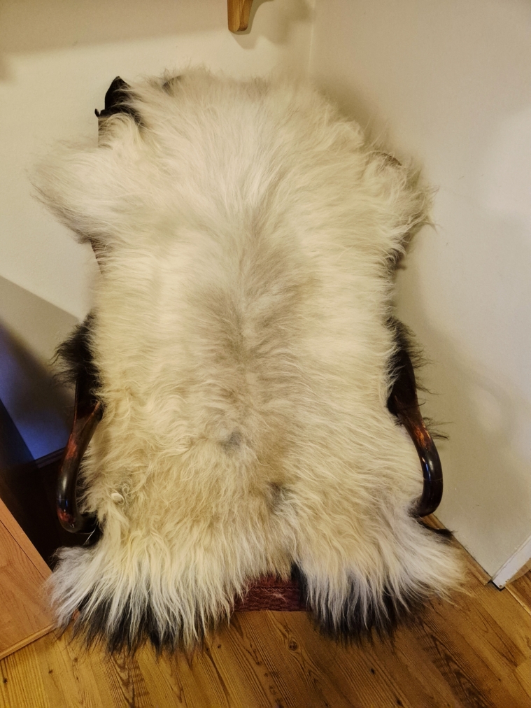 Golsótt lambagæra langhára