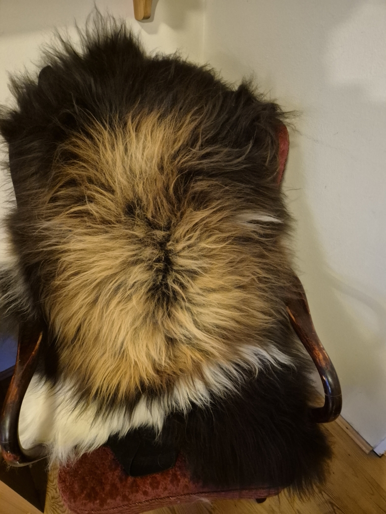 Colored Longwool Icelandic lambskins