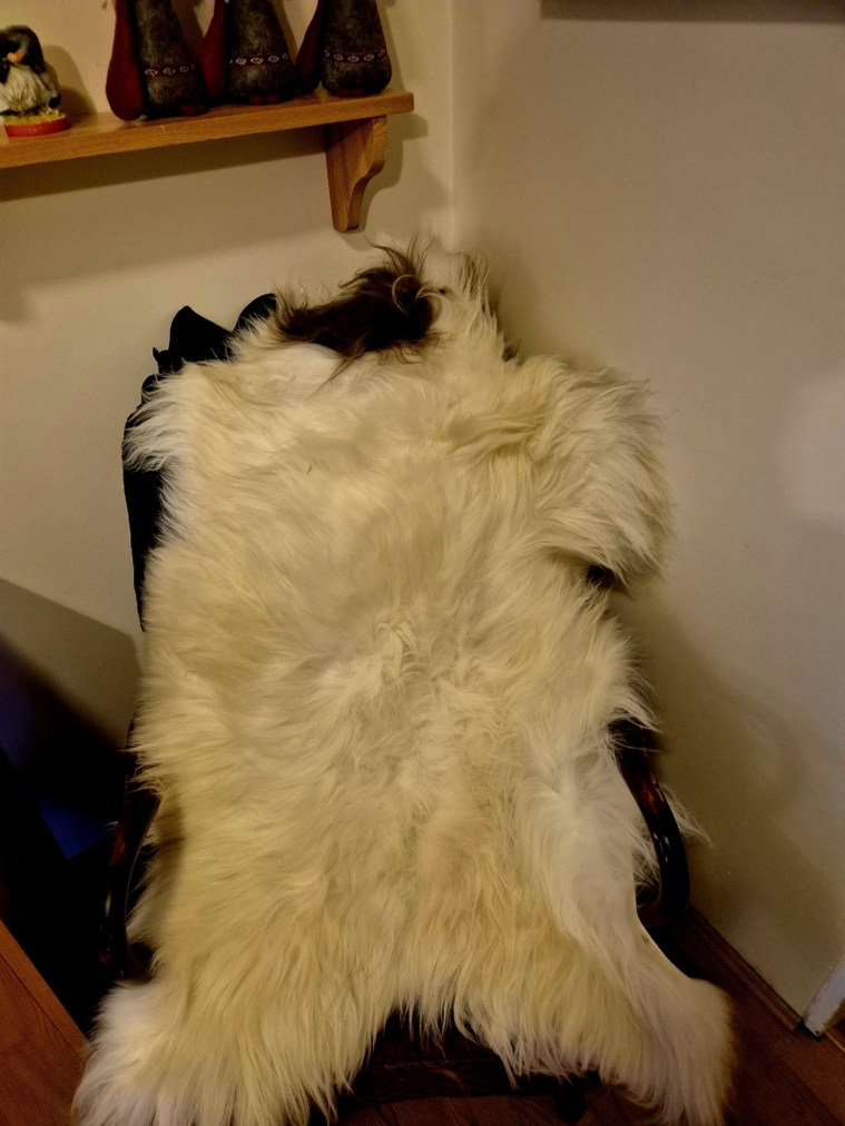 Flekkótt lambagæra langhára