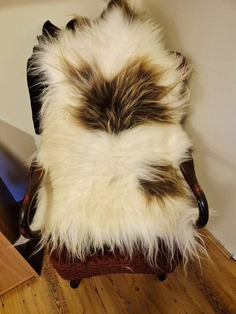 Colored Longwool Icelandic lambskins