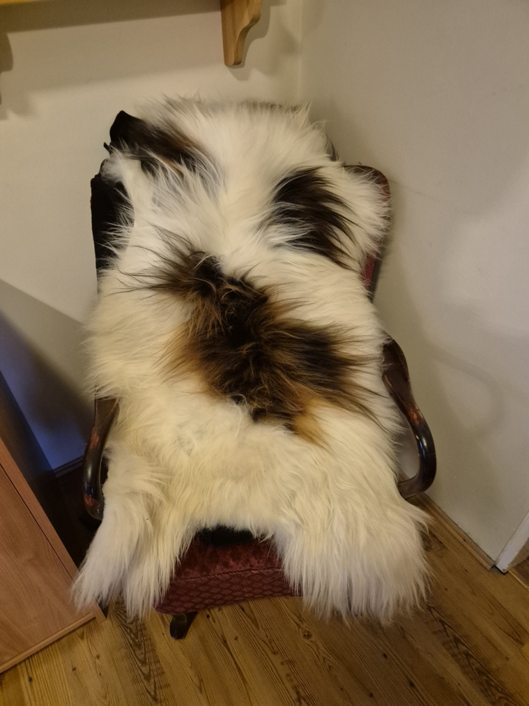 Colored Longwool Icelandic lambskins