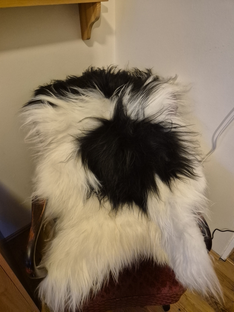 Flekkótt lambagæra langhára