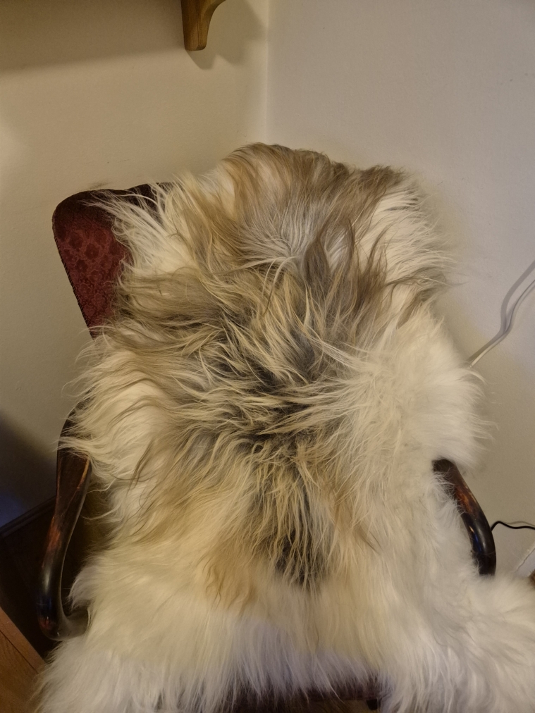 Flekkótt lambagæra langhára