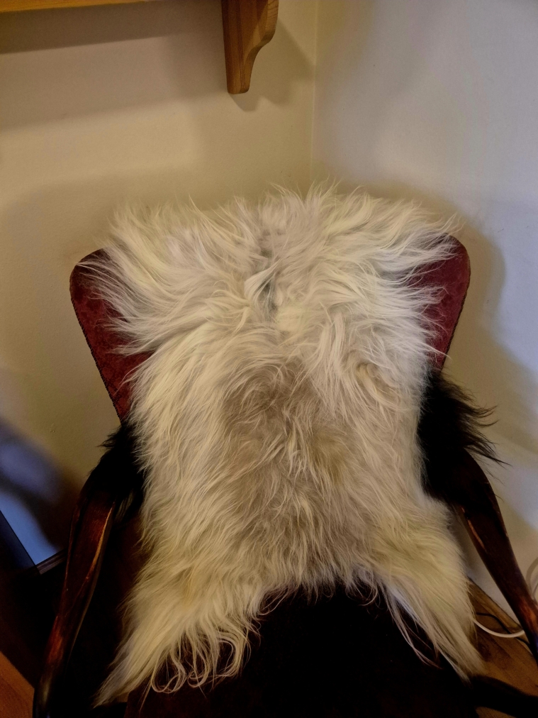 Gols Longwool Icelandic lambskins