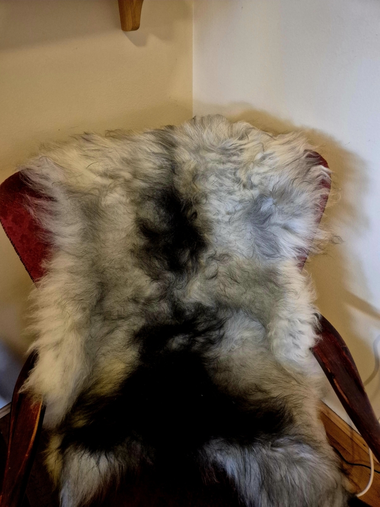 Grey Longwool Icelandic lambskins