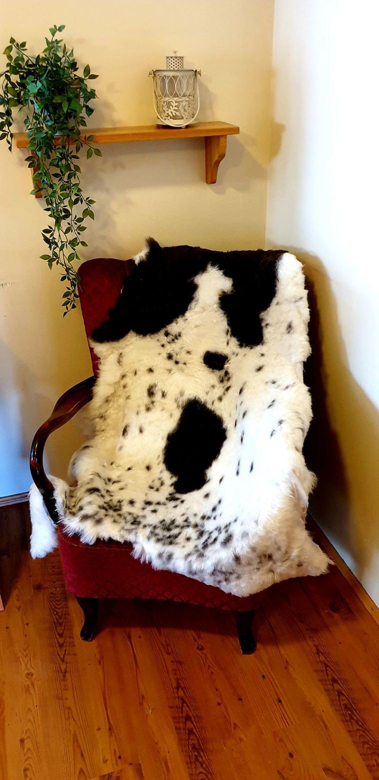 Colored Icelandic lambskins with shorn wool 1. grade