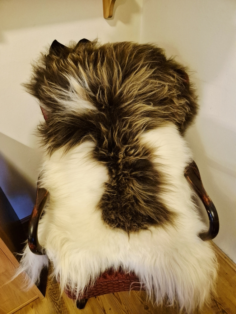 Colored Longwool Icelandic lambskins