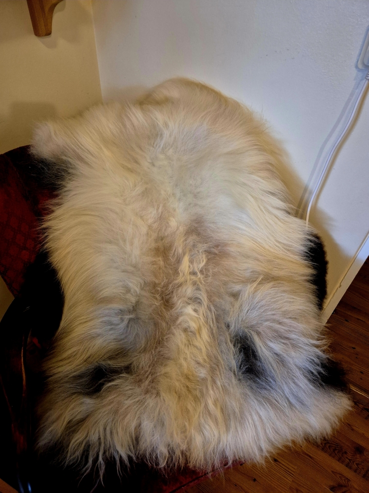 Grey Longwool Icelandic lambskins