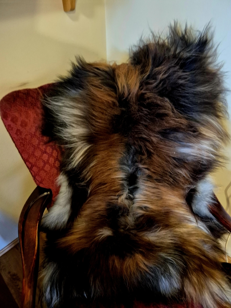Grey Longwool Icelandic lambskins