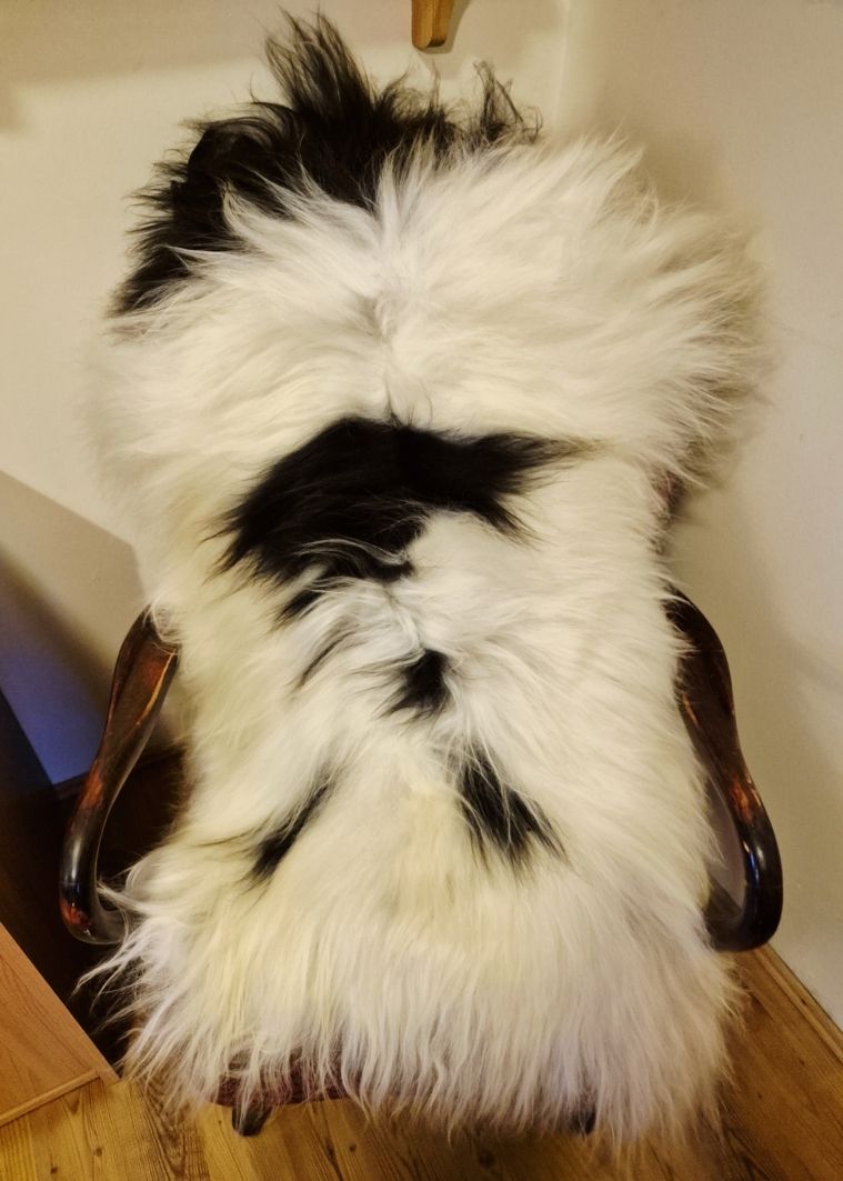 Colored Longwool Icelandic lambskins