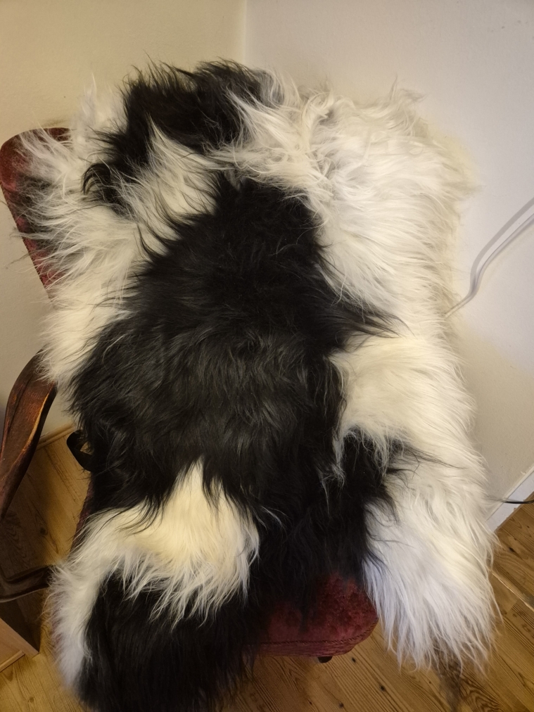 Flekkótt lambagæra langhára