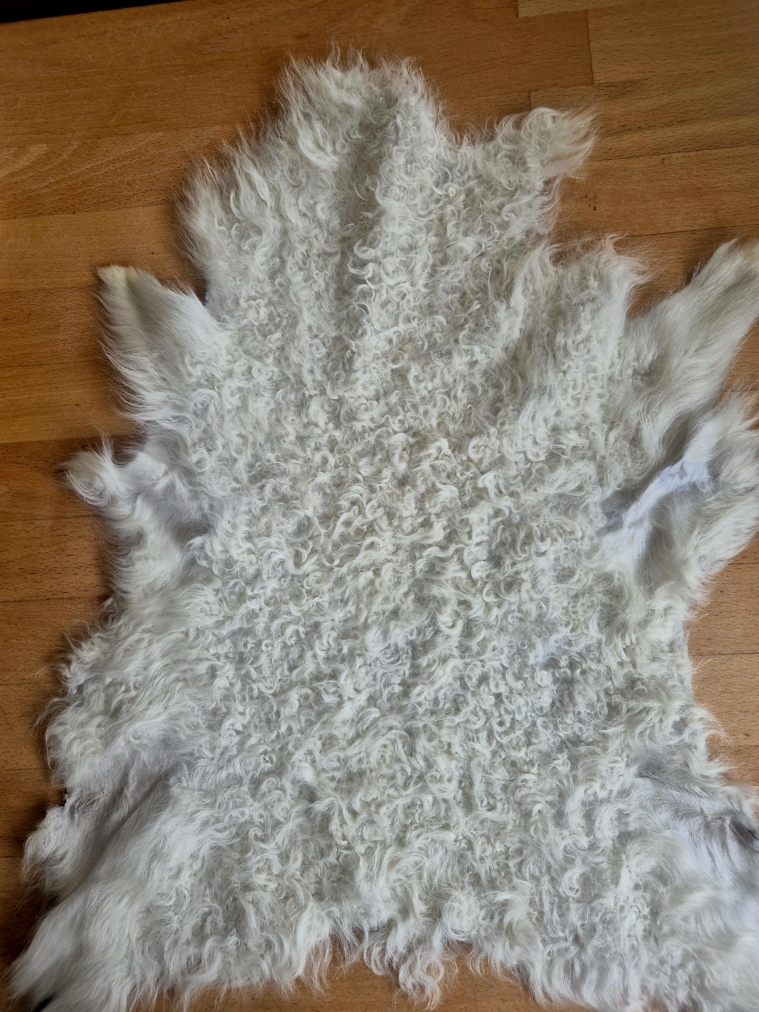 Smálambaskinn